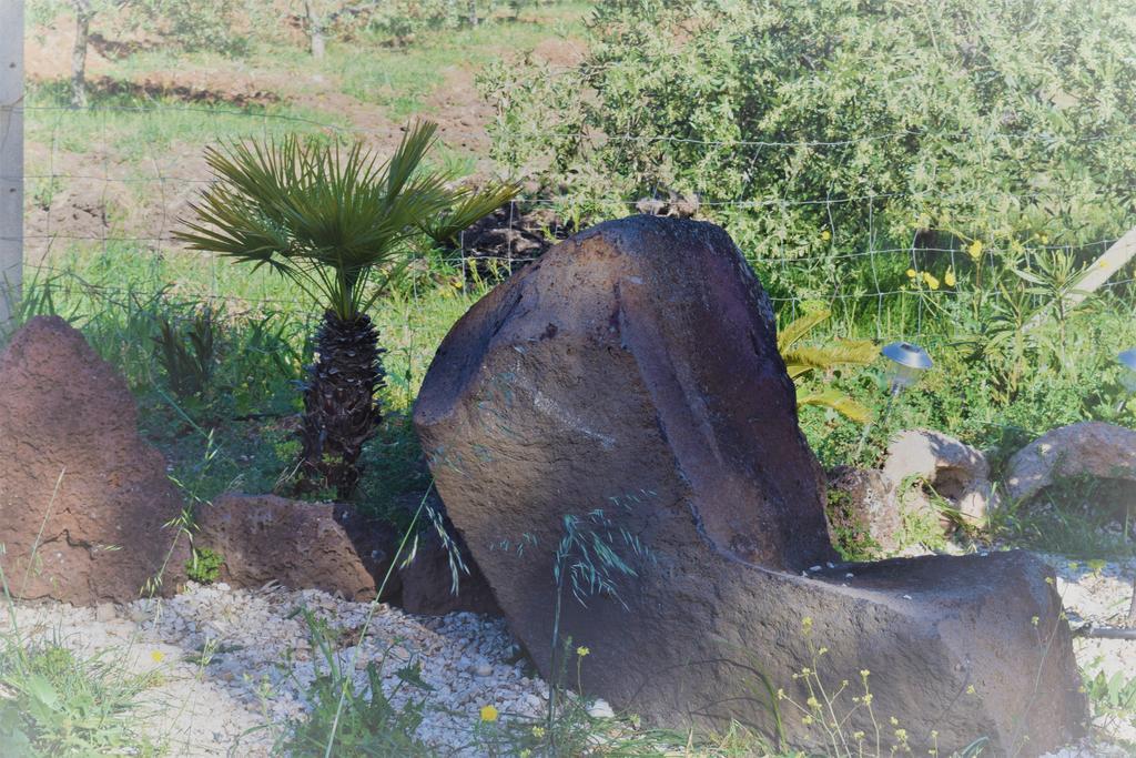 Гостьовий будинок La Ginestra Орозей Екстер'єр фото